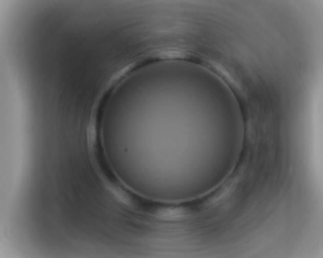 X0000114100202200910051452