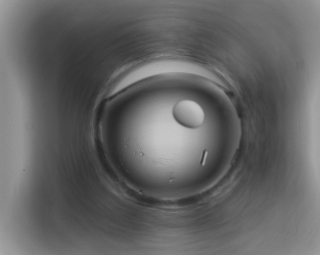 X0000114100203200910051452