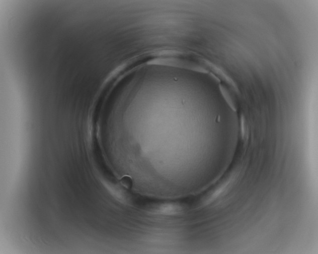 X0000114100204200910051452