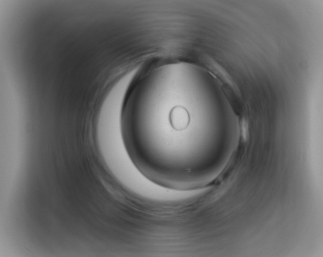 X0000114100205200910051452