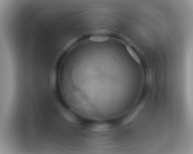 X0000114100206200910051452