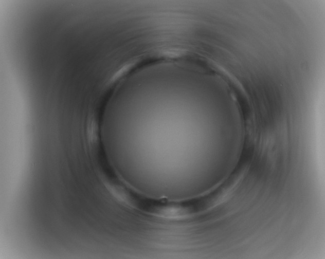 X0000114100212200910051452