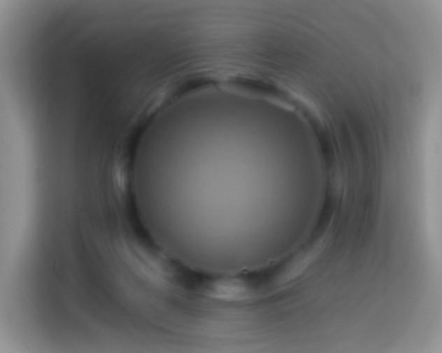 X0000114100214200910051452