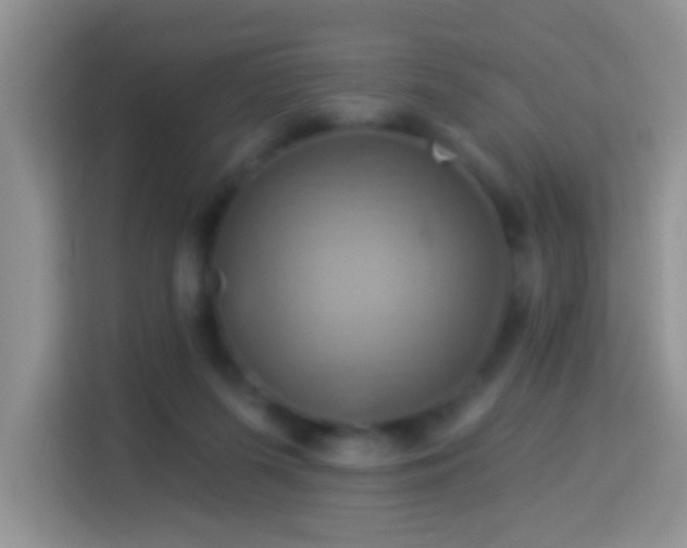 X0000114100215200910051452