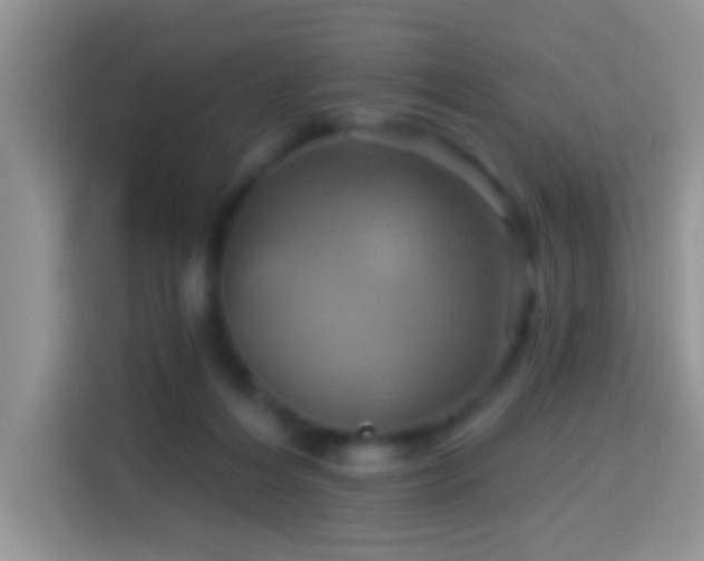 X0000114100216200910051451