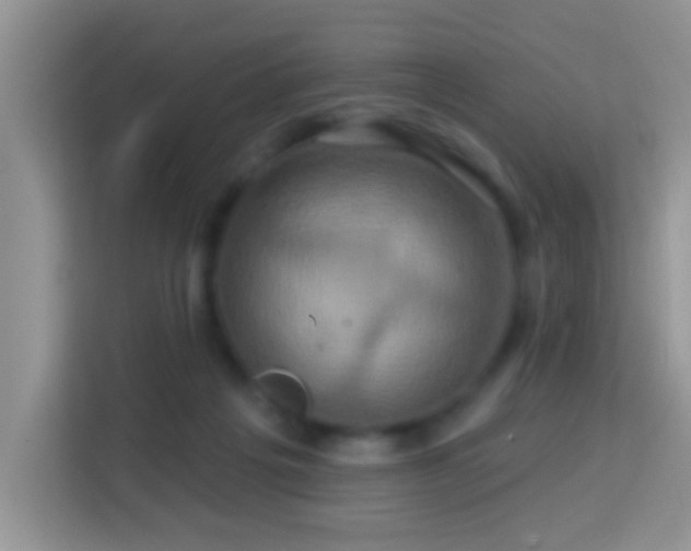 X0000114100217200910051451