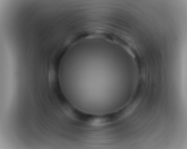 X0000114100220200910051451