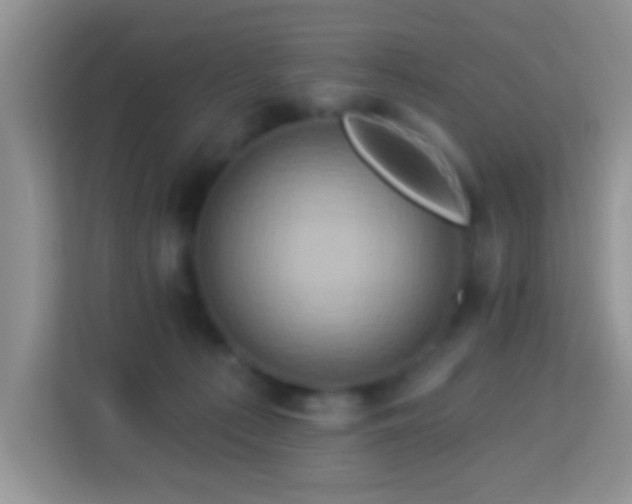 X0000114100225200910051451