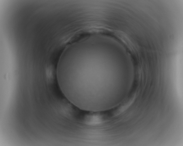 X0000114100228200910051451