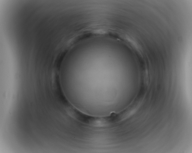 X0000114100229200910051451