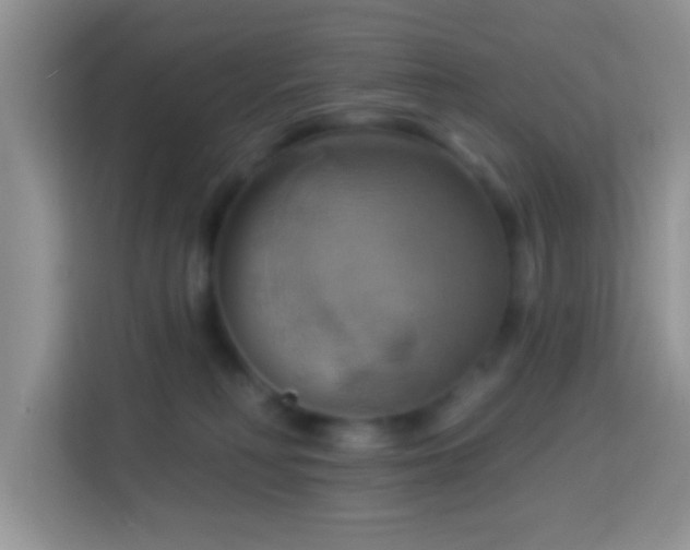 X0000114100230200910051451