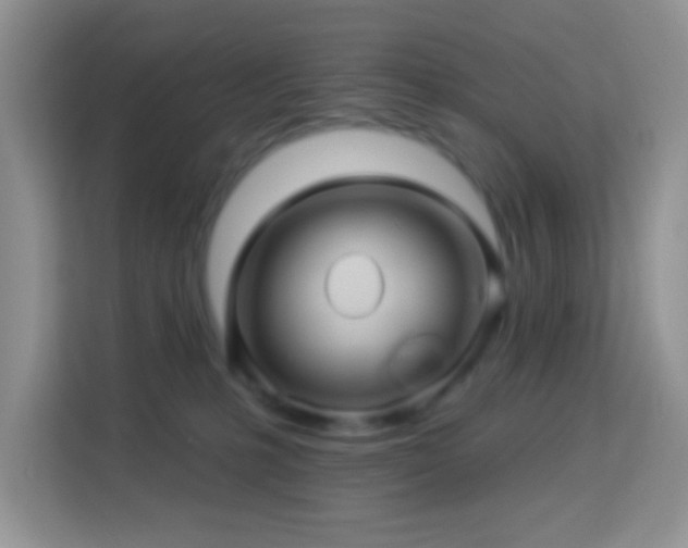 X0000114100231200910051451