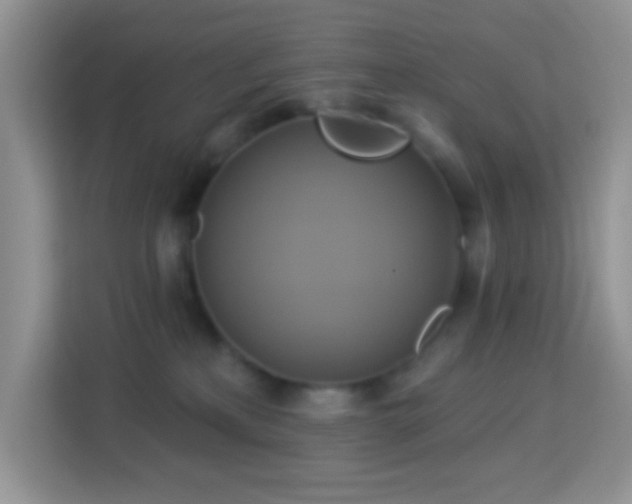 X0000114100233200910051451