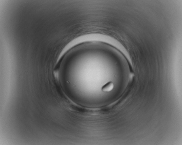 X0000114100235200910051451