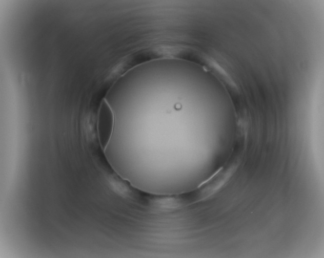 X0000114100237200910051451