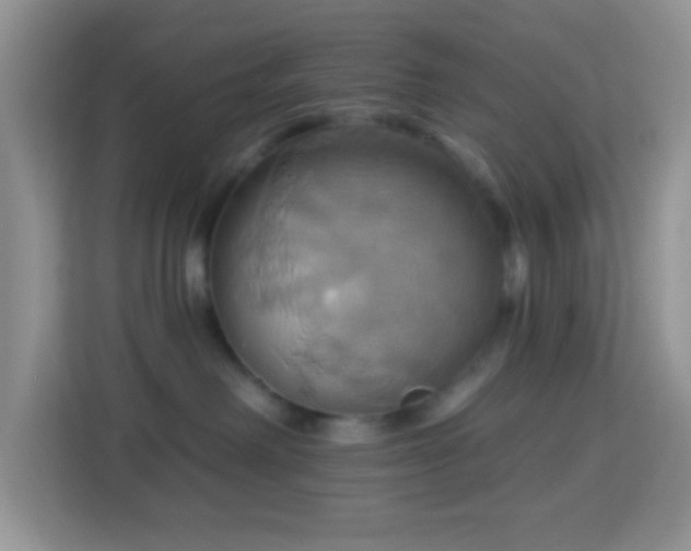 X0000114100238200910051451