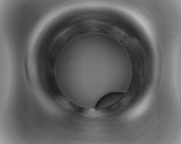 X0000114100239200910051451