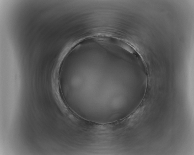 X0000114100241200910051450