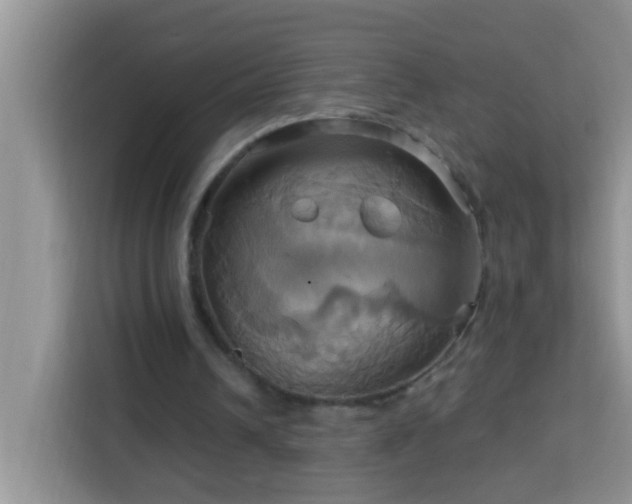 X0000114100242200910051450