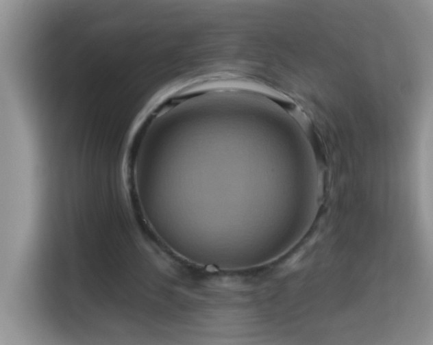 X0000114100244200910051450