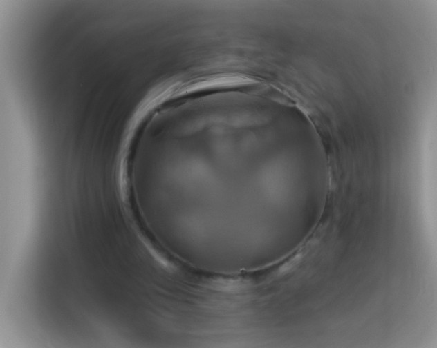 X0000114100245200910051451