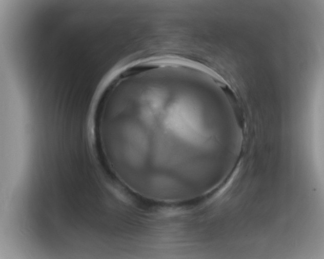 X0000114100246200910051451