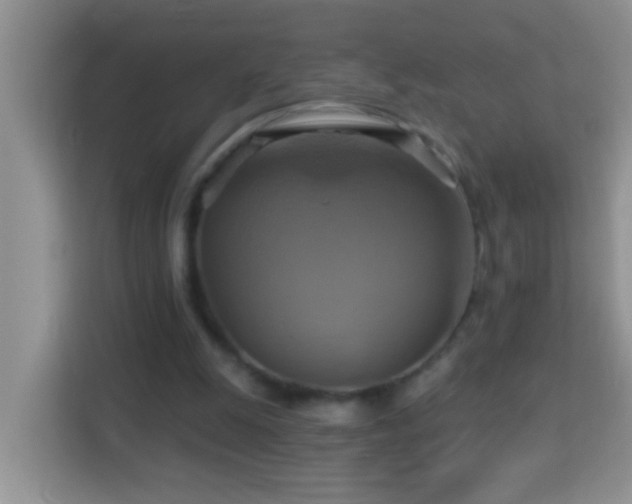 X0000114100247200910051451