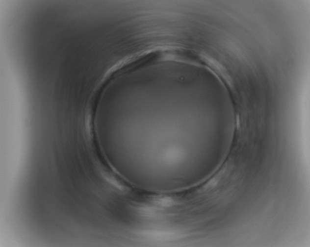 X0000114100249200910051451