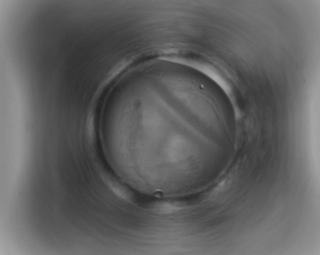 X0000114100250200910051451