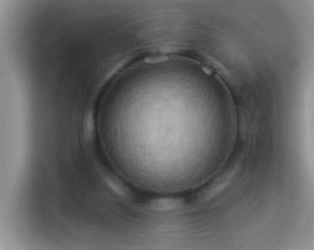 X0000114100251200910051451