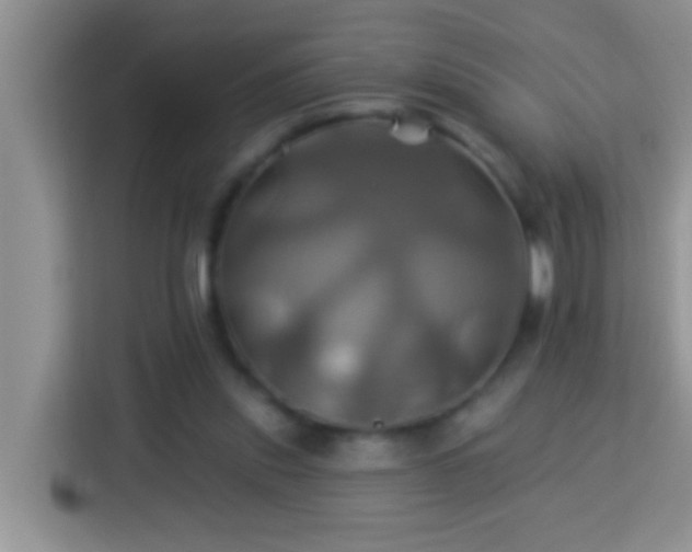 X0000114100253200910051451