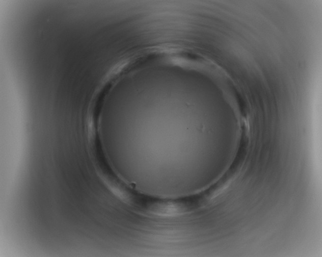 X0000114100254200910051451