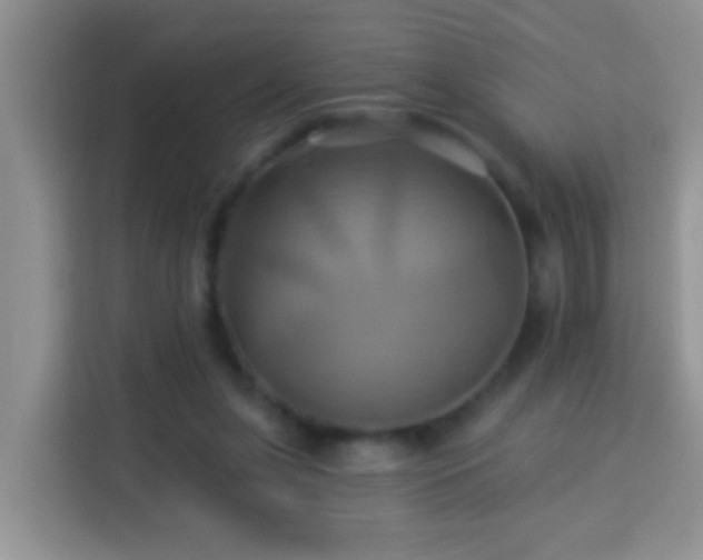 X0000114100255200910051451