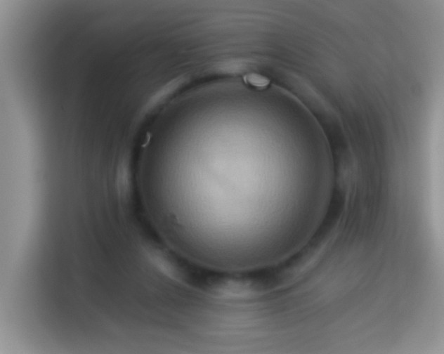 X0000114100256200910051451