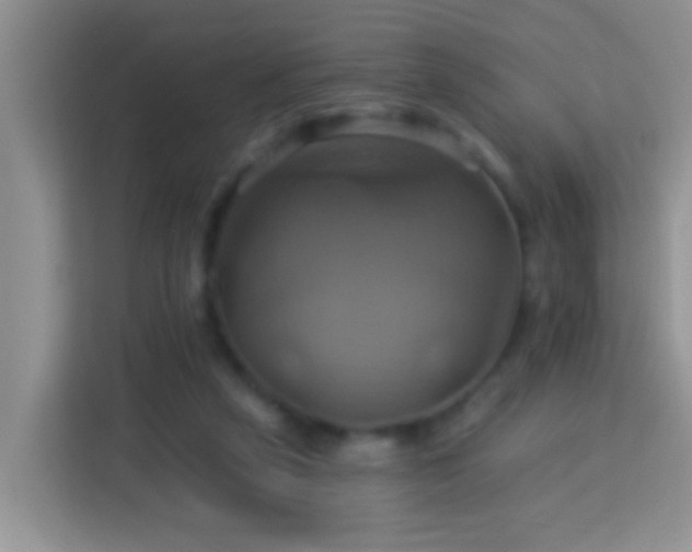 X0000114100257200910051451