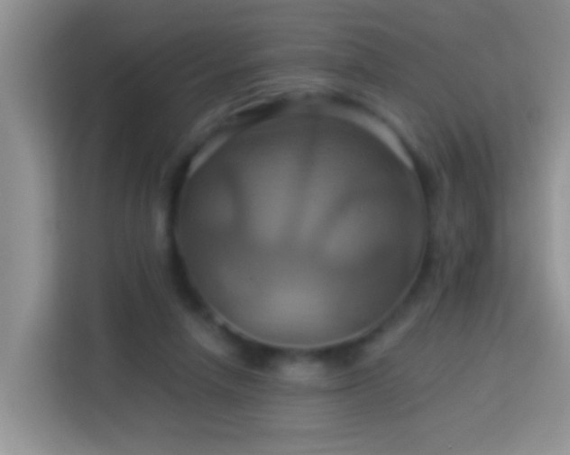 X0000114100258200910051451