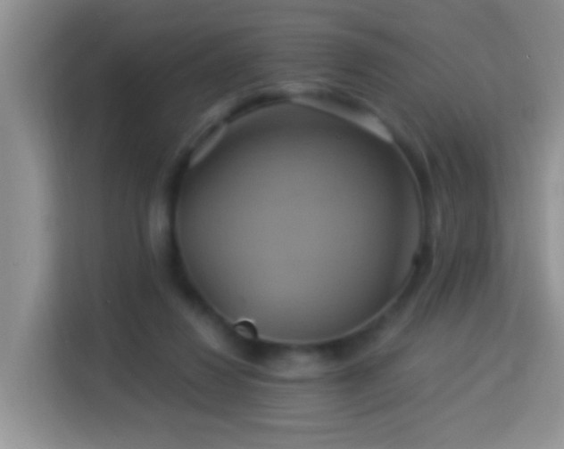 X0000114100260200910051451