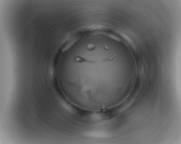 X0000114100261200910051451