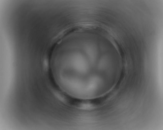 X0000114100262200910051451