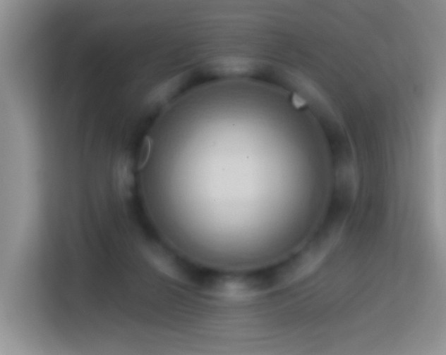 X0000114100264200910051451