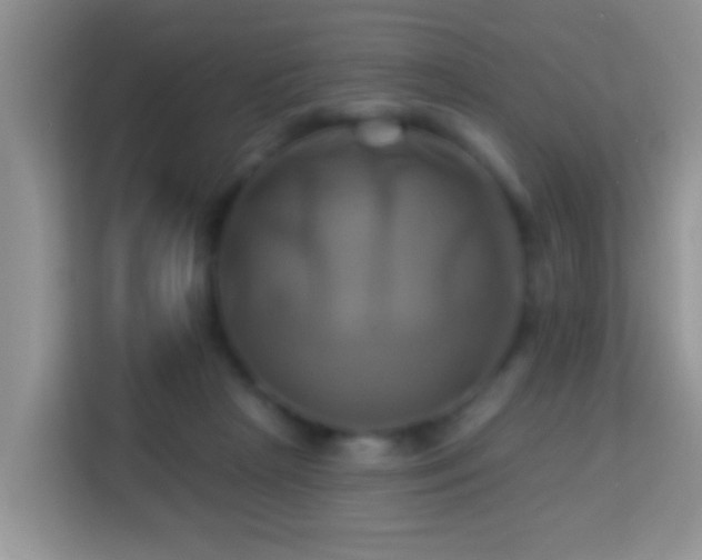 X0000114100265200910051451