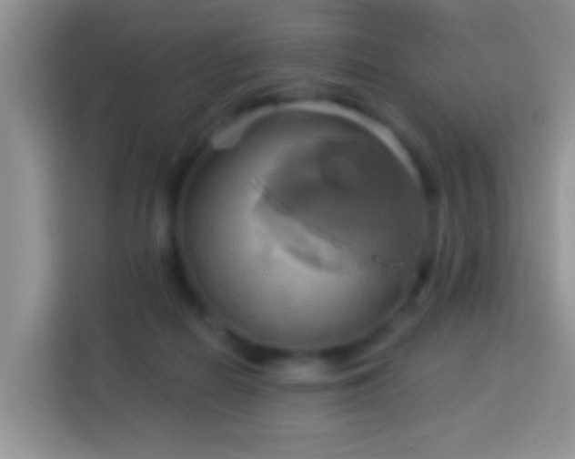 X0000114100266200910051451