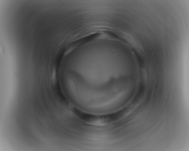 X0000114100267200910051451