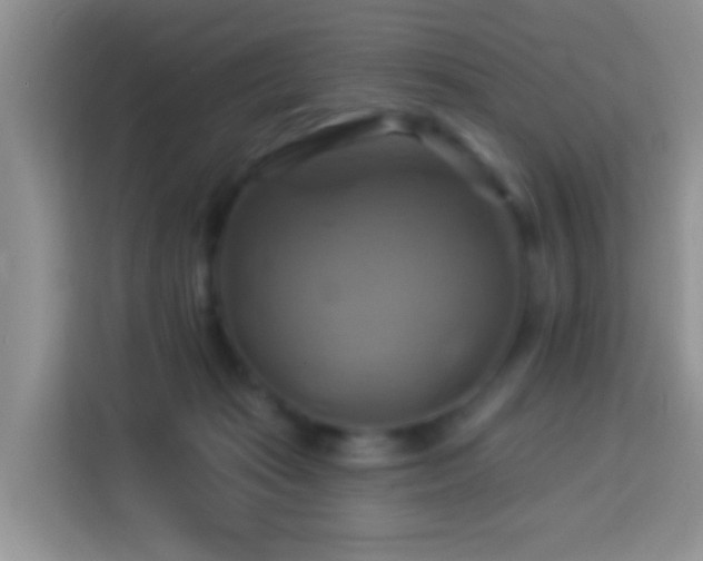 X0000114100269200910051451