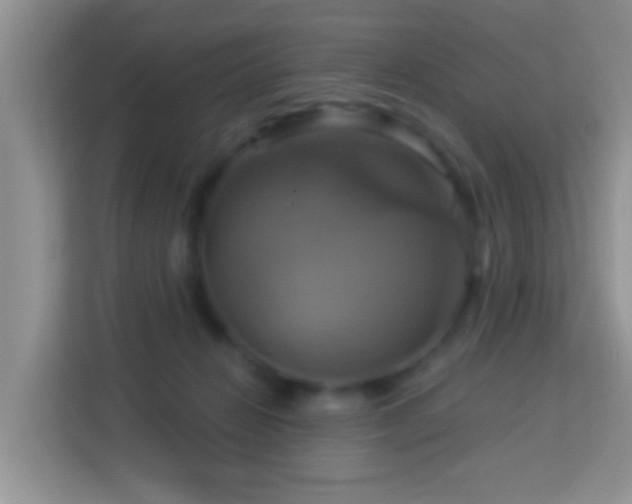 X0000114100270200910051451