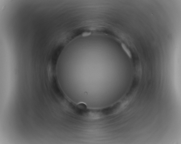 X0000114100272200910051451