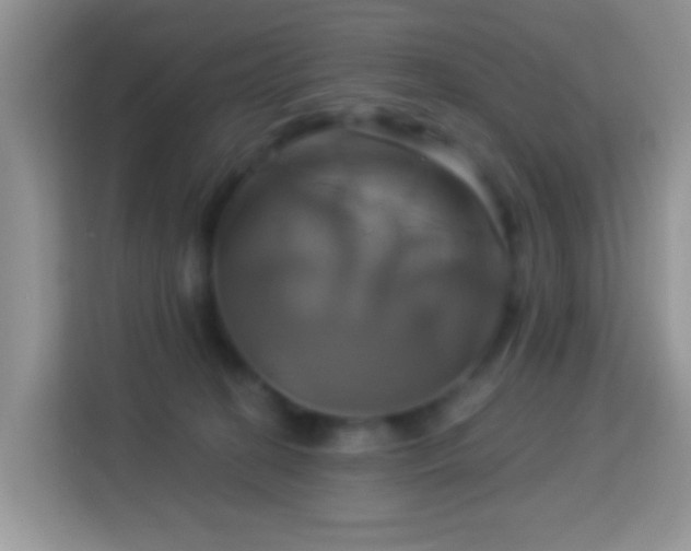 X0000114100274200910051451