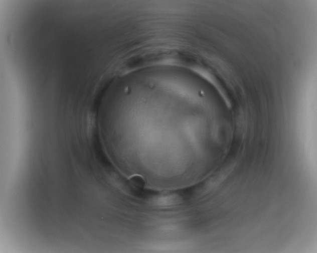 X0000114100278200910051451