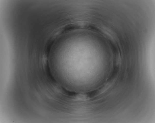 X0000114100279200910051451