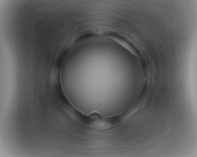 X0000114100280200910051451